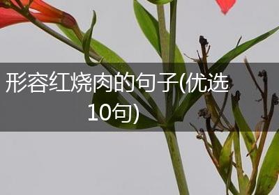 形容红烧肉的句子(优选10句)