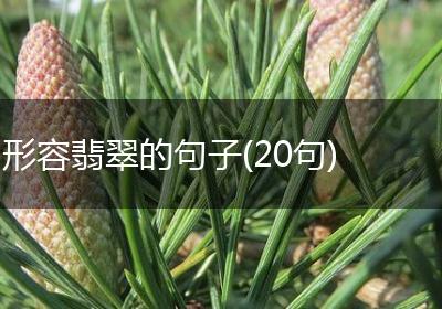 形容翡翠的句子(20句)