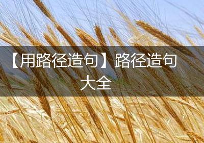 【用路径造句】路径造句大全