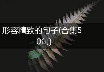 形容精致的句子(合集50句)