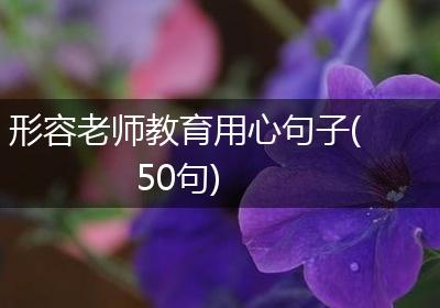 形容老师教育用心句子(50句)