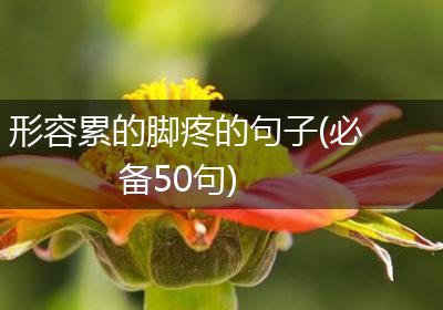 形容累的脚疼的句子(必备50句)
