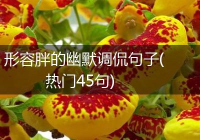 形容胖的幽默调侃句子(热门45句)