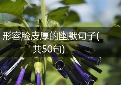 形容脸皮厚的幽默句子(共50句)