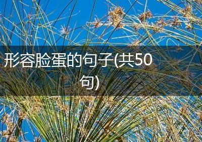 形容脸蛋的句子(共50句)