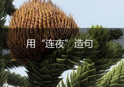 用“连夜”造句