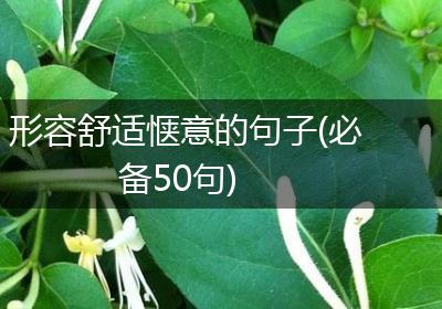 形容舒适惬意的句子(必备50句)