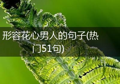 形容花心男人的句子(热门51句)