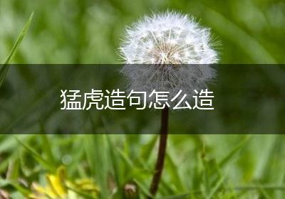 猛虎造句怎么造