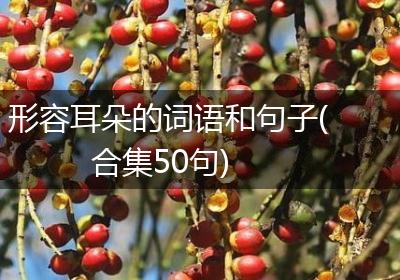 形容耳朵的词语和句子(合集50句)