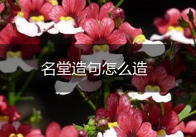 名堂造句怎么造