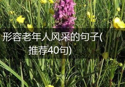形容老年人风采的句子(推荐40句)