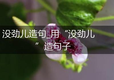 没劲儿造句_用“没劲儿”造句子
