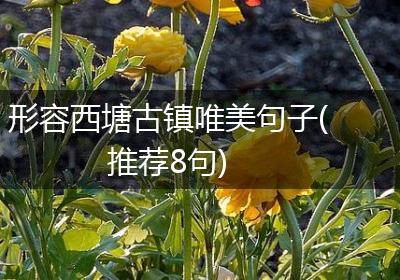 形容西塘古镇唯美句子(推荐8句)