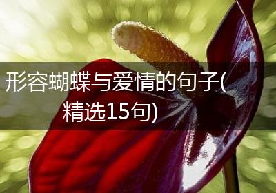 形容蝴蝶与爱情的句子(精选15句)