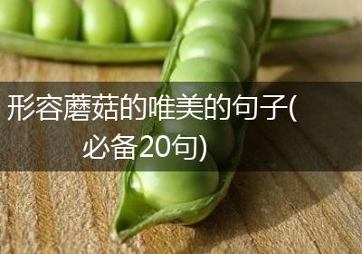 形容蘑菇的唯美的句子(必备20句)