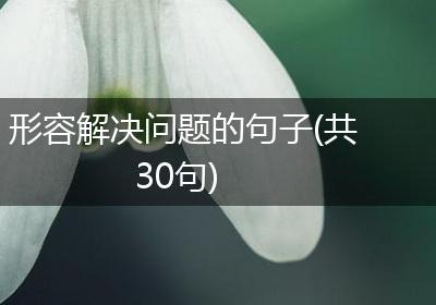 形容解决问题的句子(共30句)