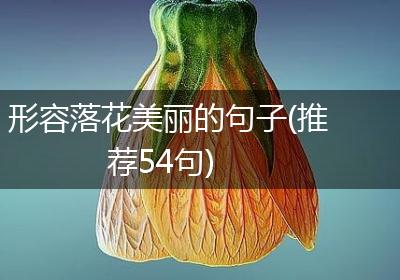 形容落花美丽的句子(推荐54句)