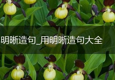 明晰造句_用明晰造句大全