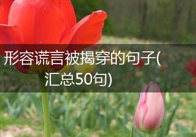 形容谎言被揭穿的句子(汇总50句)