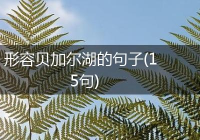 形容贝加尔湖的句子(15句)