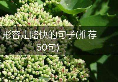 形容走路快的句子(推荐50句)