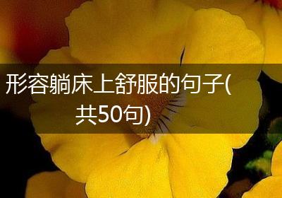 形容躺床上舒服的句子(共50句)