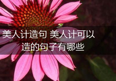 美人计造句 美人计可以造的句子有哪些