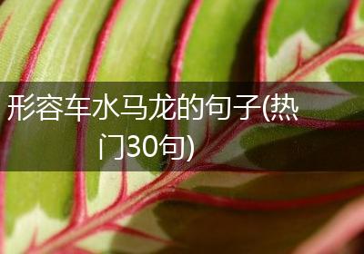 形容车水马龙的句子(热门30句)