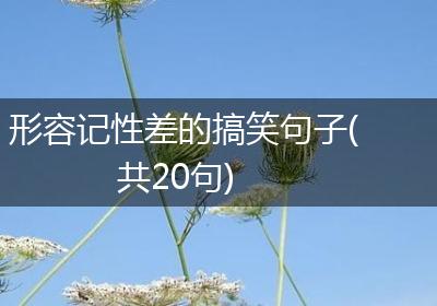 形容记性差的搞笑句子(共20句)