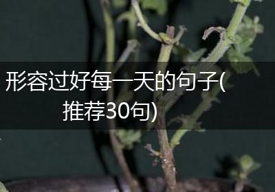形容过好每一天的句子(推荐30句)