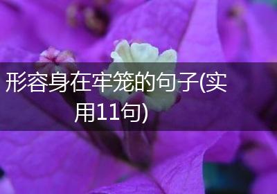 形容身在牢笼的句子(实用11句)