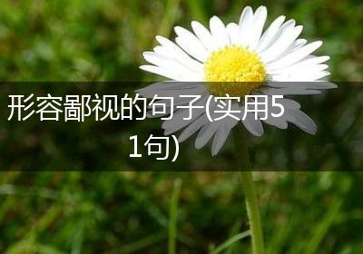 形容鄙视的句子(实用51句)