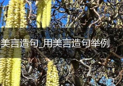 美言造句_用美言造句举例