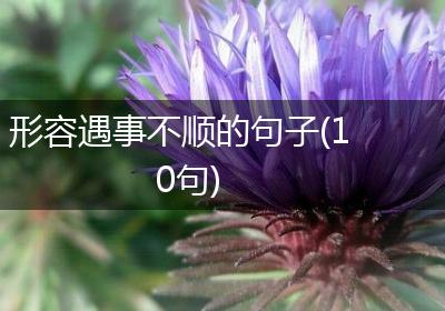 形容遇事不顺的句子(10句)