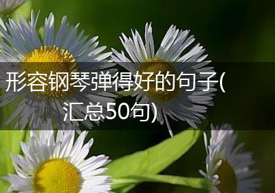 形容钢琴弹得好的句子(汇总50句)