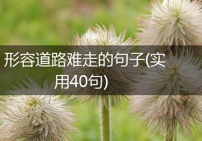 形容道路难走的句子(实用40句)