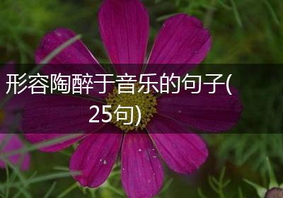 形容陶醉于音乐的句子(25句)
