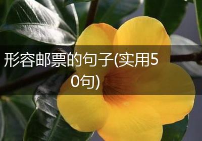 形容邮票的句子(实用50句)