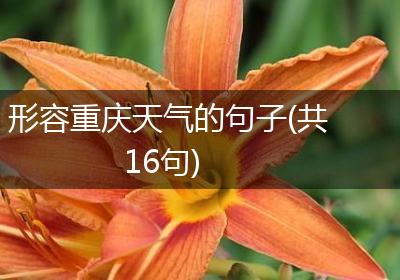 形容重庆天气的句子(共16句)