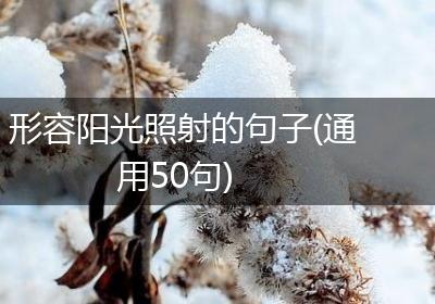 形容阳光照射的句子(通用50句)