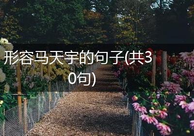 形容马天宇的句子(共30句)