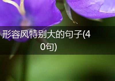 形容风特别大的句子(40句)