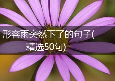 形容雨突然下了的句子(精选50句)
