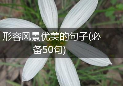 形容风景优美的句子(必备50句)