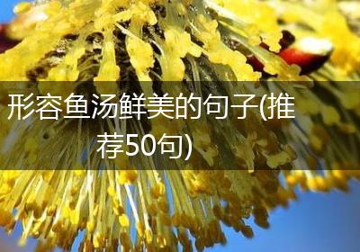 形容鱼汤鲜美的句子(推荐50句)
