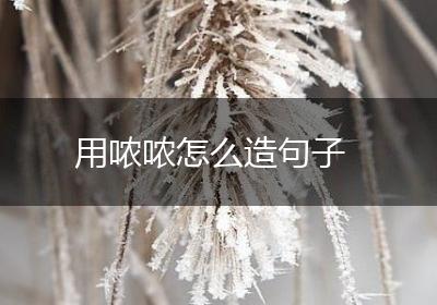 用哝哝怎么造句子