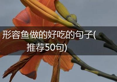 形容鱼做的好吃的句子(推荐50句)