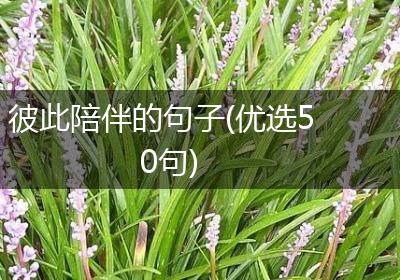 彼此陪伴的句子(优选50句)