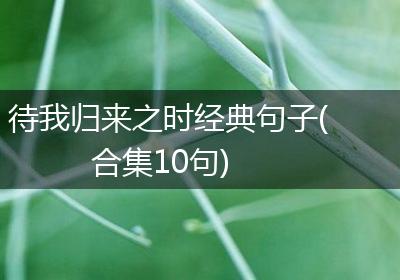 待我归来之时经典句子(合集10句)
